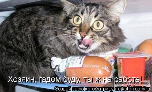 Хозяин, гадом буду, ты ж на работе!... Котоматрица: Хозяин, гадом буду, ты ж на работе!