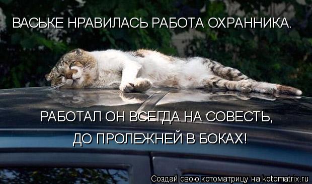 ВАСЬКЕ НРАВИЛАСЬ РАБОТА ОХРАННИКА. РАБОТАЛ ОН ВСЕГДА НА СОВЕСТЬ, ДО ПРОЛЕЖНЕЙ В БОКАХ!... Котоматрица: ВАСЬКЕ НРАВИЛАСЬ РАБОТА ОХРАННИКА. РАБОТАЛ ОН ВСЕГДА НА СОВЕСТЬ, ДО ПРОЛЕЖНЕЙ В БОКАХ!