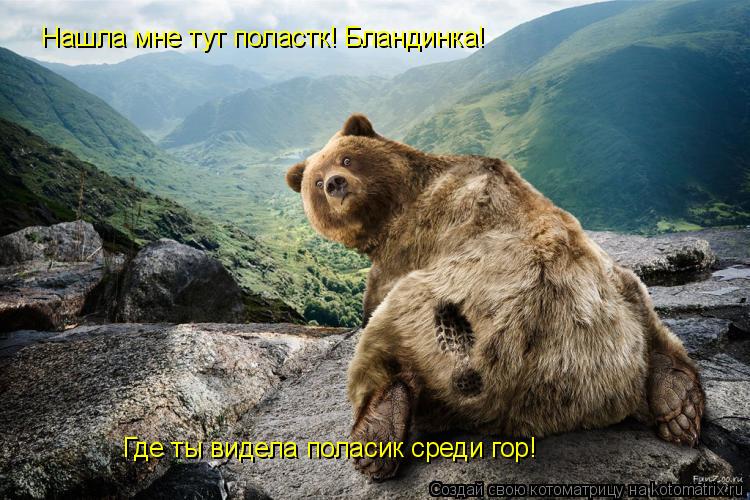 Нашла мне тут поластк! Бландинка! Где ты видела поласик среди гор!... Котоматрица: Нашла мне тут поластк! Бландинка! Где ты видела поласик среди гор!