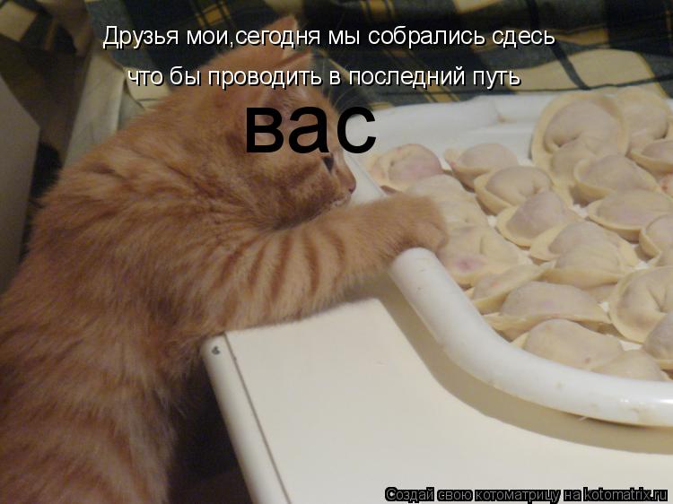 Друзья мои,сегодня мы собрались сдесь что бы проводить в последний путь вас... Котоматрица: Друзья мои,сегодня мы собрались сдесь что бы проводить в последний путь вас