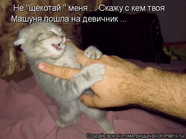 Не "щекотай " меня ... Скажу с кем твоя Машуня пошла на девичник ...... Котоматрица: Не "щекотай " меня ... Скажу с кем твоя Машуня пошла на девичник ...