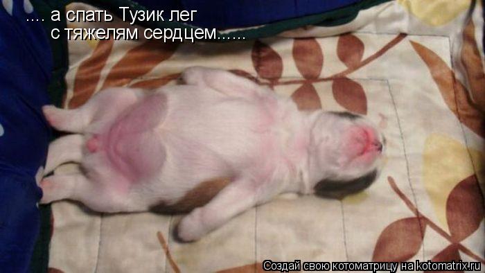 .... а спать Тузик лег с тяжелям сердцем......... Котоматрица: .... а спать Тузик лег с тяжелям сердцем......