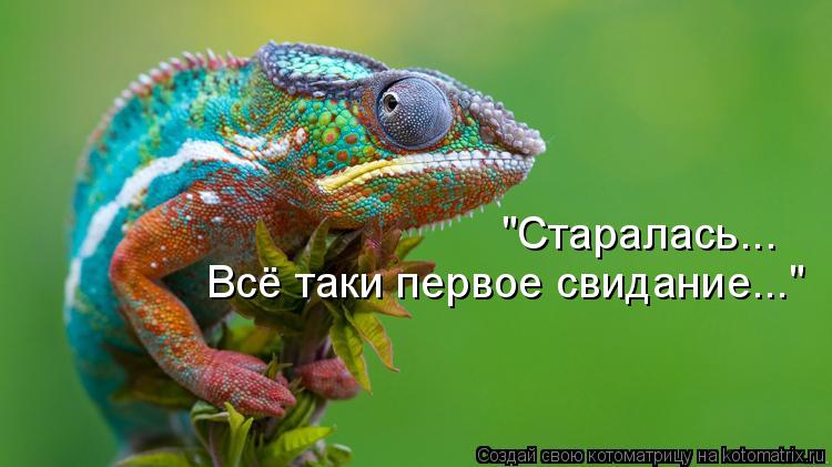 "Старалась... Всё таки первое свидание..."... Котоматрица: "Старалась... Всё таки первое свидание..."