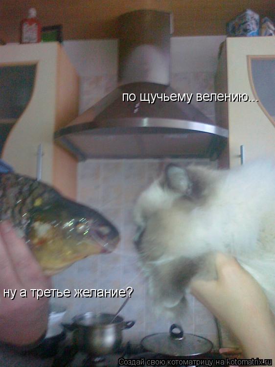 ну а третье желание? по щучьему велению...... Котоматрица: ну а третье желание? по щучьему велению...