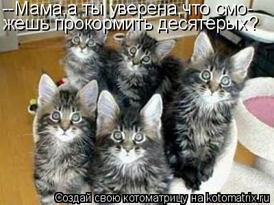 --Мама,а ты уверена,что смо- жешь прокормить десятерых?... Котоматрица: --Мама,а ты уверена,что смо- жешь прокормить десятерых?