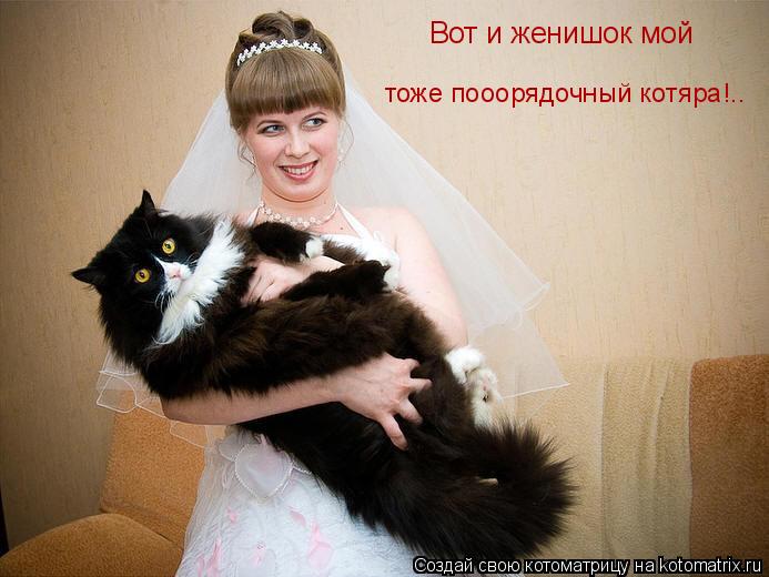 Вот и женишок мой тоже пооорядочный котяра!..... Котоматрица: Вот и женишок мой тоже пооорядочный котяра!..