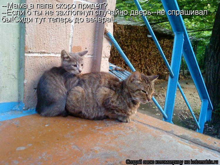 --Мама,а папа скоро придёт? --Если б ты не захлопнул случайно дверь--не спрашивал бы!Сиди тут теперь ... Котоматрица: --Мама,а папа скоро придёт? --Если б ты не захлопнул случайно дверь--не спрашивал бы!Сиди тут теперь до вечера!