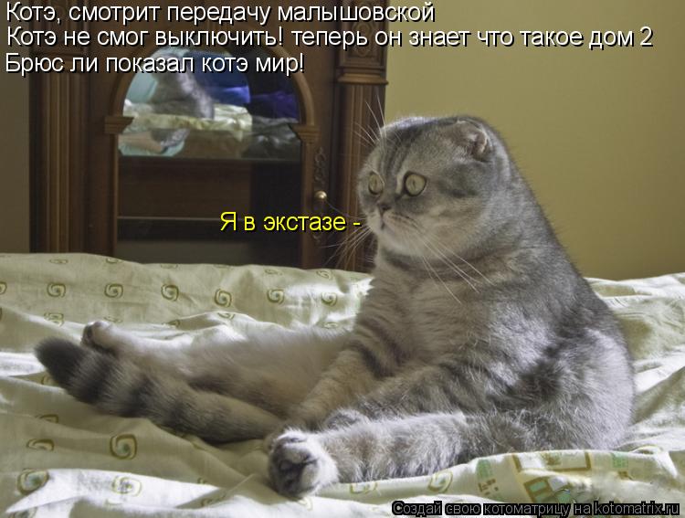 Котэ, смотрит передачу малышовской Котэ Котэ не смог выключить! теперь он знает что такое дом 2 Брю... Котоматрица: Котэ, смотрит передачу малышовской Котэ Котэ не смог выключить! теперь он знает что такое дом 2 Брюс ли показал котэ мир! Я в экстазе -