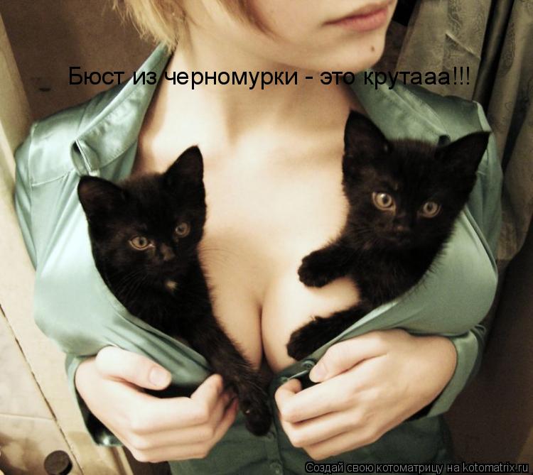 Бюст из черномурки - это крутааа!!!... Котоматрица: Бюст из черномурки - это крутааа!!!