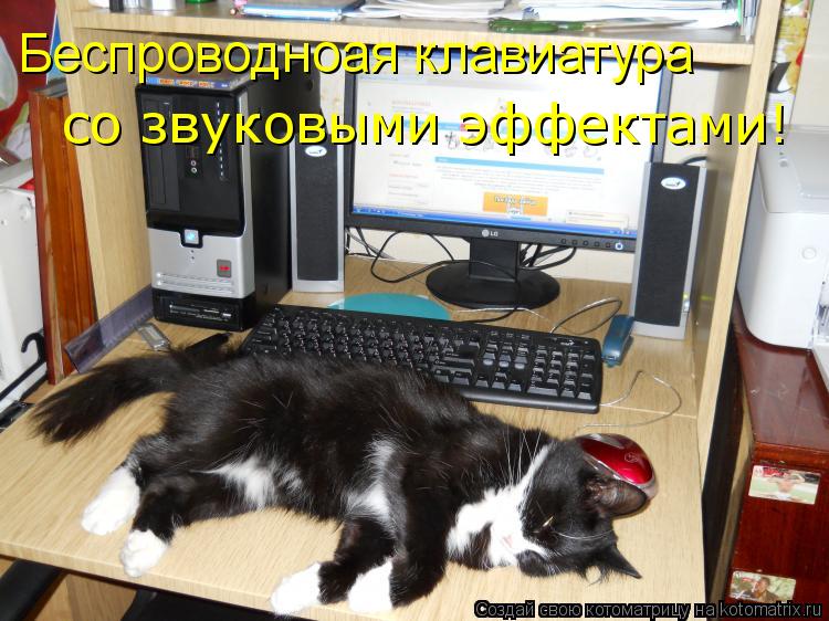 Беспроводноая клавиатура со звуковыми эффектами!... Котоматрица: Беспроводноая клавиатура со звуковыми эффектами!
