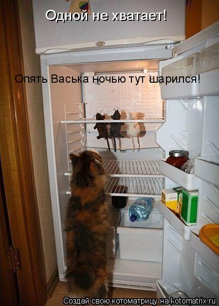 Котоматрица: Одной не хватает!  Опять Васька ночью тут шарился!