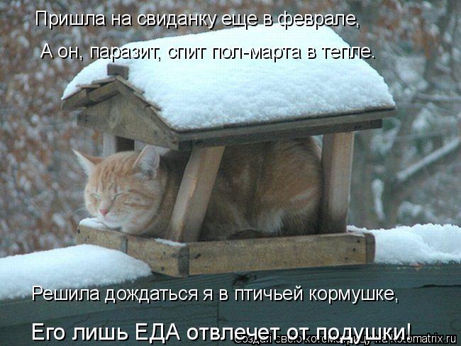 Котоматрица: Пришла на свиданку еще в феврале, А он, паразит, спит пол-марта в тепле. Решила дождаться я в птичьей кормушке, Его лишь ЕДА отвлечет от подуш