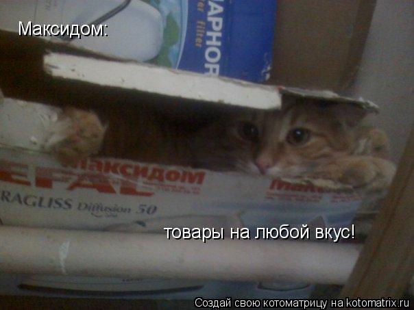 Максидом: товары на любой вкус!... Котоматрица: Максидом: товары на любой вкус!