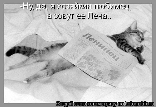 -Ну, да, я хозяйкин любимец, а зовут ее Лена...... Котоматрица: -Ну, да, я хозяйкин любимец, а зовут ее Лена...
