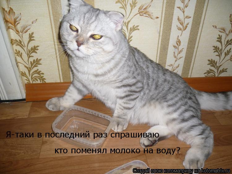 Я-таки в последний раз спрашиваю кто поменял молоко на воду?... Котоматрица: Я-таки в последний раз спрашиваю кто поменял молоко на воду?