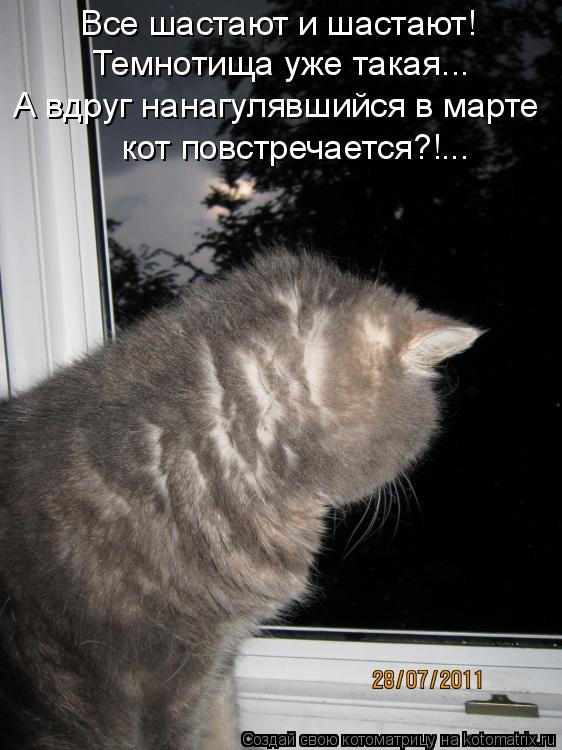 Все шастают и шастают! Темнотища уже такая... А вдруг нанагулявшийся в марте кот повстречается?!...... Котоматрица: Все шастают и шастают! Темнотища уже такая... А вдруг нанагулявшийся в марте кот повстречается?!...