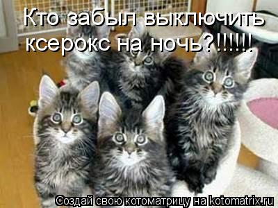 Кто забыл выключить ксерокс на ночь?!!!!!!... Котоматрица: Кто забыл выключить ксерокс на ночь?!!!!!!
