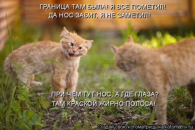 ГРАНИЦА ТАМ БЫЛА! Я ВСЕ ПОМЕТИЛ! ДА НОС ЗАБИТ, Я НЕ ЗАМЕТИЛ! ПРИ ЧЕМ ТУТ НОС, А ГДЕ ГЛАЗА? ТАМ КРАСКО... Котоматрица: ГРАНИЦА ТАМ БЫЛА! Я ВСЕ ПОМЕТИЛ! ДА НОС ЗАБИТ, Я НЕ ЗАМЕТИЛ! ПРИ ЧЕМ ТУТ НОС, А ГДЕ ГЛАЗА? ТАМ КРАСКОЙ ЖИРНО ПОЛОСА!