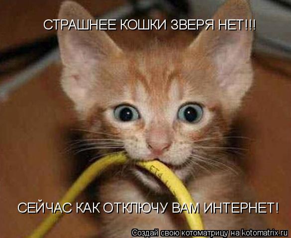 СТРАШНЕЕ КОШКИ ЗВЕРЯ НЕТ!!! СЕЙЧАС КАК ОТКЛЮЧУ ВАМ ИНТЕРНЕТ!... Котоматрица: СТРАШНЕЕ КОШКИ ЗВЕРЯ НЕТ!!! СЕЙЧАС КАК ОТКЛЮЧУ ВАМ ИНТЕРНЕТ!