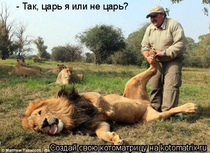 - Так, царь я или не царь?... Котоматрица: - Так, царь я или не царь?