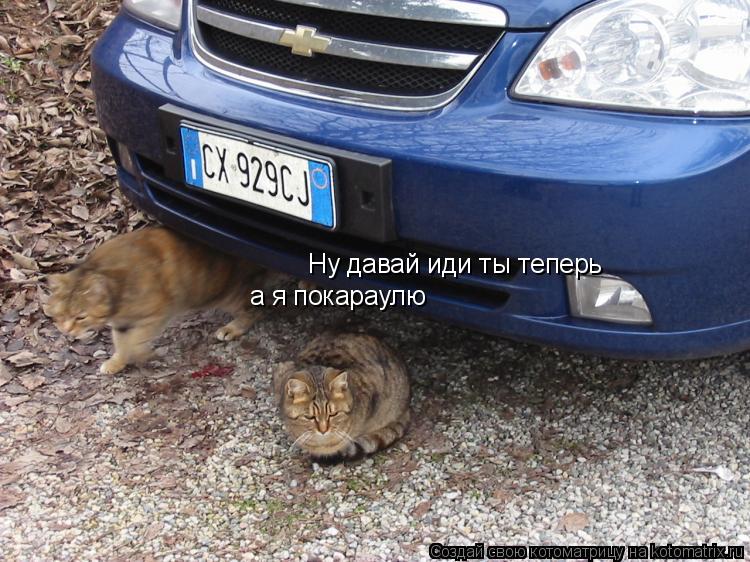 Ну давай иди ты теперь а я покараулю... Котоматрица: Ну давай иди ты теперь а я покараулю