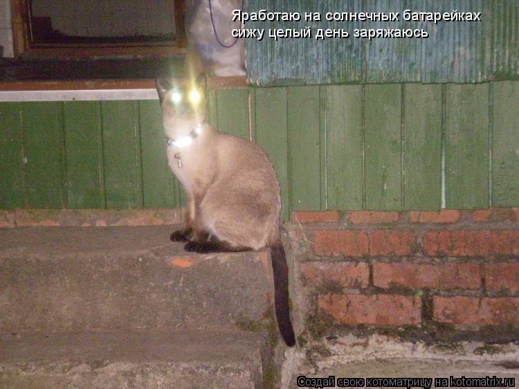 Яработаю на солнечных батарейках сижу целый день заряжаюсь... Котоматрица: Яработаю на солнечных батарейках сижу целый день заряжаюсь