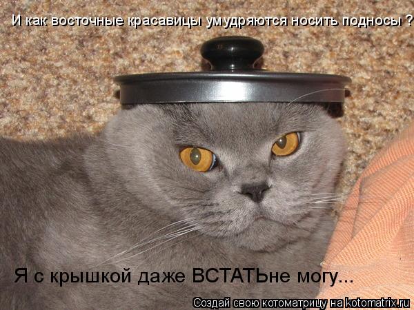 И как восточные красавицы умудряются носить подносы ? И как восточные красавицы умудряются носить под... Котоматрица: И как восточные красавицы умудряются носить подносы ? И как восточные красавицы умудряются носить подносы ? Я с крышкой даже ВСТАТЬне могу..