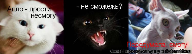 Алло - прости несмогу - не сможежь? Передумала. смогу!... Котоматрица: Алло - прости несмогу - не сможежь? Передумала. смогу!