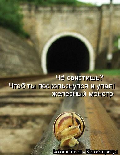 Чё свистишь? Чтоб ты поскользнулся и упал! железный монстр... Котоматрица: Чё свистишь? Чтоб ты поскользнулся и упал! железный монстр