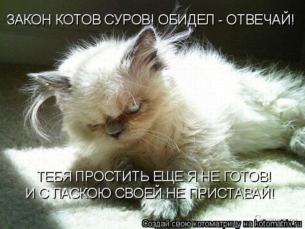 ЗАКОН КОТОВ СУРОВ! ОБИДЕЛ - ОТВЕЧАЙ! ТЕБЯ ПРОСТИТЬ ЕЩЕ Я НЕ ГОТОВ! И С ЛАСКОЮ СВОЕЙ НЕ ПРИСТАВАЙ!... Котоматрица: ЗАКОН КОТОВ СУРОВ! ОБИДЕЛ - ОТВЕЧАЙ! ТЕБЯ ПРОСТИТЬ ЕЩЕ Я НЕ ГОТОВ! И С ЛАСКОЮ СВОЕЙ НЕ ПРИСТАВАЙ!