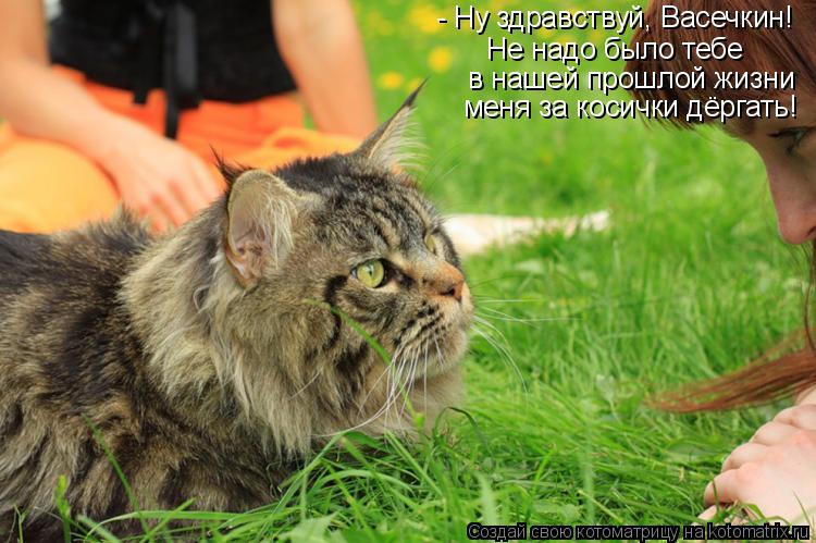 - Ну здравствуй, Васечкин! Не надо было тебе в нашей прошлой жизни меня за косички дёргать!... Котоматрица: - Ну здравствуй, Васечкин! Не надо было тебе в нашей прошлой жизни меня за косички дёргать!