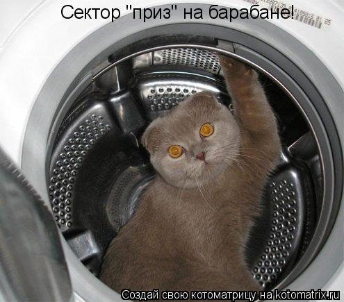 Сектор "приз" на барабане!... Котоматрица: Сектор "приз" на барабане!