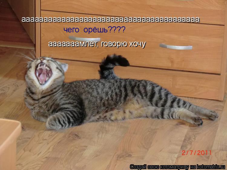 аааааааааааааааааааааааааааааааааааааааа чего орёшь???? ааааааамлет, говорю хочу... Котоматрица: аааааааааааааааааааааааааааааааааааааааа чего орёшь???? ааааааамлет, говорю хочу