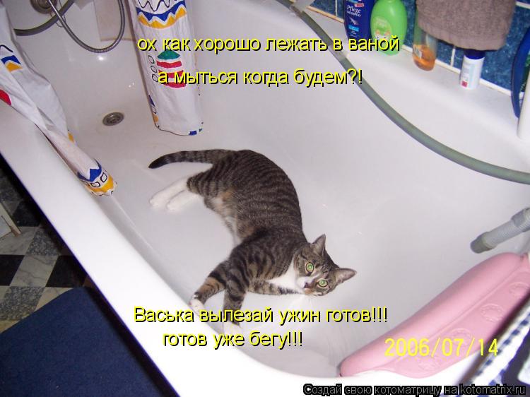 ох как хорошо лежать в ваной а мыться когда будем?! Васька вылезай ужин готов!!! готов уже бегу!!!... Котоматрица: ох как хорошо лежать в ваной а мыться когда будем?! Васька вылезай ужин готов!!! готов уже бегу!!!