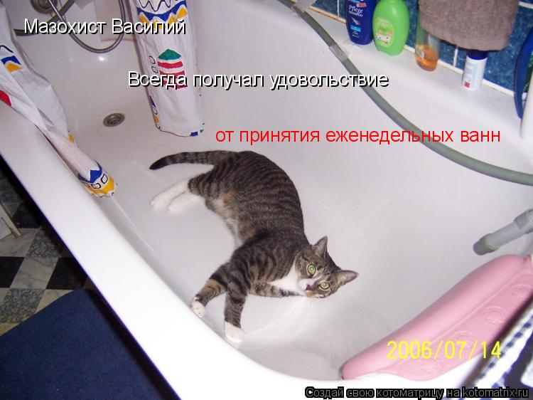 Мазохист Василий Всегда получал удовольствие от принятия еженедельных ванн... Котоматрица: Мазохист Василий Всегда получал удовольствие от принятия еженедельных ванн