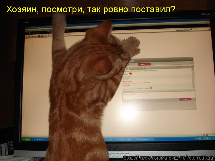 Хозяин, посмотри, так ровно поставил?... Котоматрица: Хозяин, посмотри, так ровно поставил?
