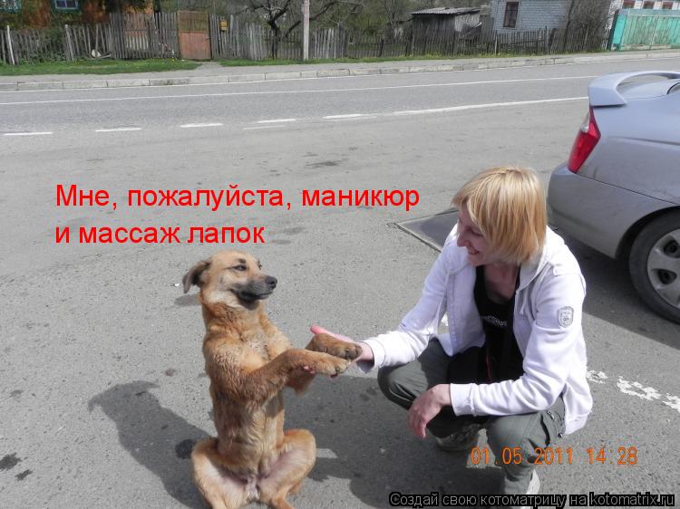 Мне, пожалуйста, маникюр и массаж лапок... Котоматрица: Мне, пожалуйста, маникюр и массаж лапок