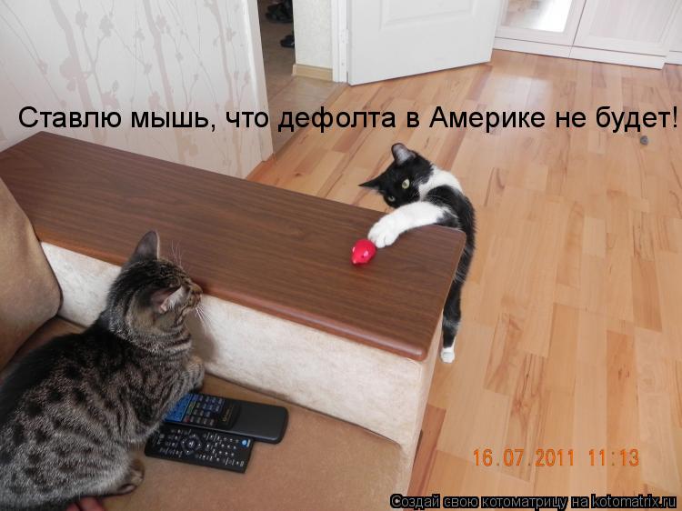 Ставлю мышь, что дефолта в Америке не будет!... Котоматрица: Ставлю мышь, что дефолта в Америке не будет!