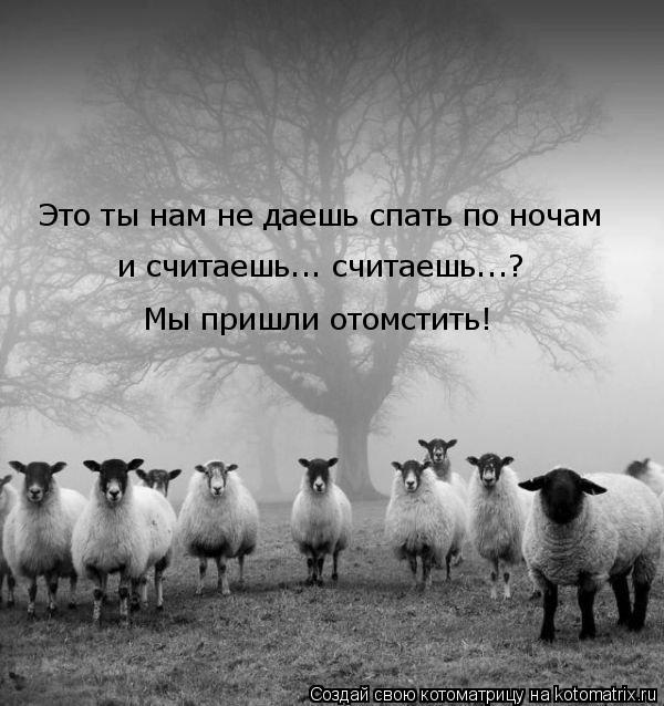 Котоматрица: Это ты нам не даешь спать по ночам и считаешь... считаешь...? Мы пришли отомстить!