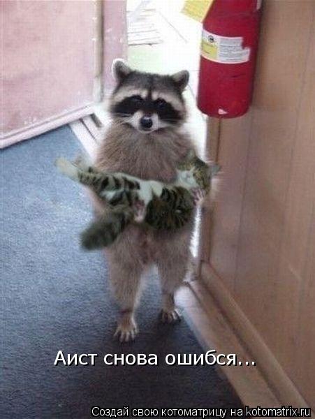 Аист снова ошибся...... Котоматрица: Аист снова ошибся...