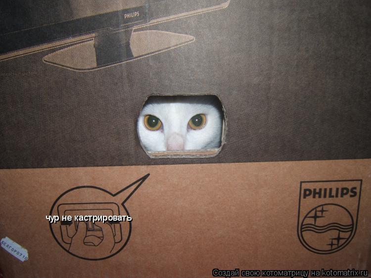 чур не кастрировать... Котоматрица: чур не кастрировать