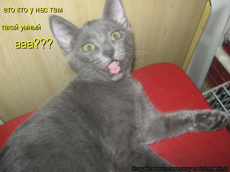 ето кто у нас там такой умный ааа???... Котоматрица: ето кто у нас там такой умный ааа???