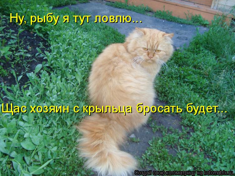 Ну, рыбу я тут ловлю... Щас хозяин с крыльца бросать будет...... Котоматрица: Ну, рыбу я тут ловлю... Щас хозяин с крыльца бросать будет...