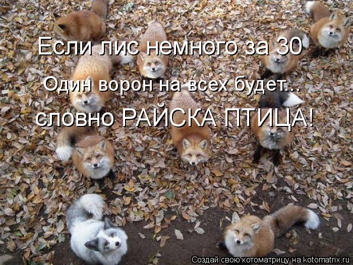 Один ворон на всех будет... Если лис немного за 30 словно РАЙСКА ПТИЦА!... Котоматрица: Один ворон на всех будет... Если лис немного за 30 словно РАЙСКА ПТИЦА!