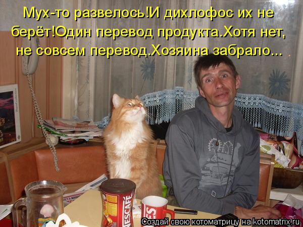 Мух-то развелось!И дихлофос их не берёт!Один перевод продукта.Хотя нет, не совсем перевод.Хозяина заб... Котоматрица: Мух-то развелось!И дихлофос их не берёт!Один перевод продукта.Хотя нет, не совсем перевод.Хозяина забрало...
