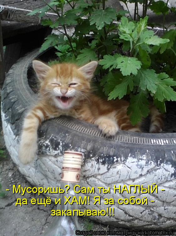 - Мусоришь? Сам ты НАГЛЫЙ - да ещё и ХАМ! Я за собой - закапываю!!!... Котоматрица: - Мусоришь? Сам ты НАГЛЫЙ - да ещё и ХАМ! Я за собой - закапываю!!!