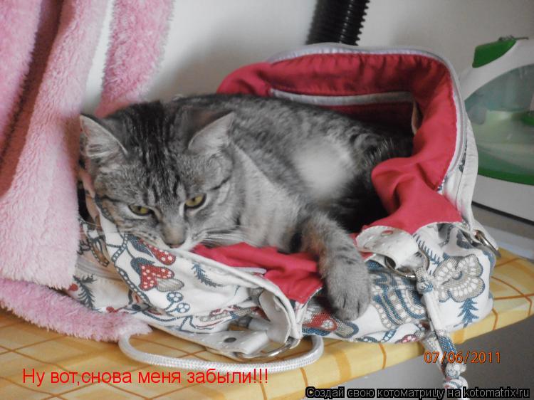 Ну вот,снова меня забыли!!!... Котоматрица: Ну вот,снова меня забыли!!!