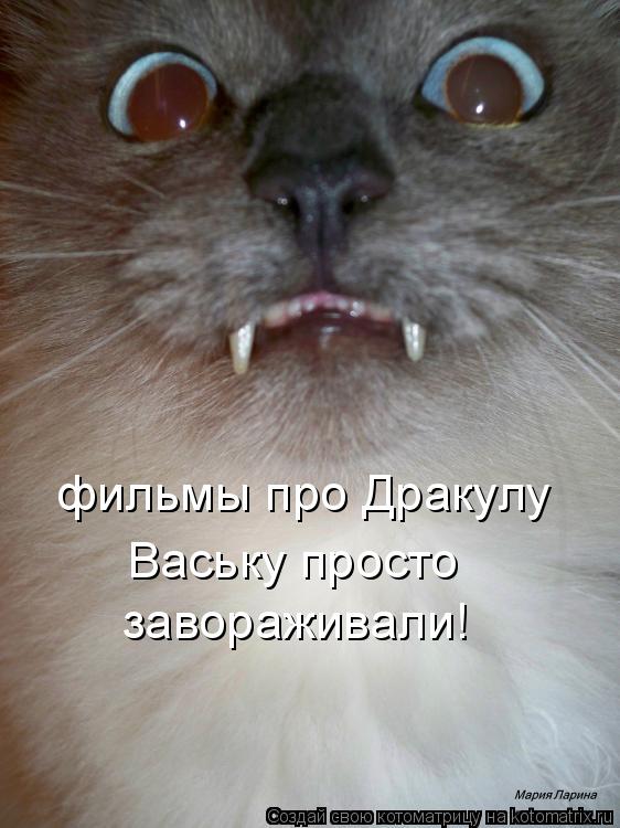 фильмы про Дракулу Ваську просто завораживали!... Котоматрица: фильмы про Дракулу Ваську просто завораживали!