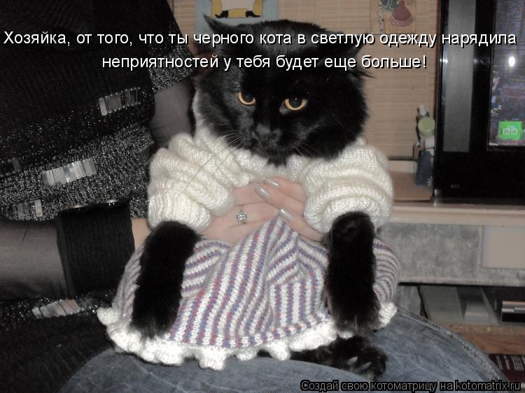 Хозяйка, от того, что ты черного кота в светлую одежду нарядила неприятностей у тебя будет еще больше... Котоматрица: Хозяйка, от того, что ты черного кота в светлую одежду нарядила неприятностей у тебя будет еще больше!