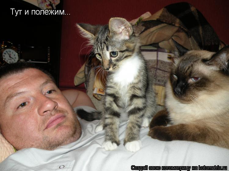 Тут и полежим...... Котоматрица: Тут и полежим...
